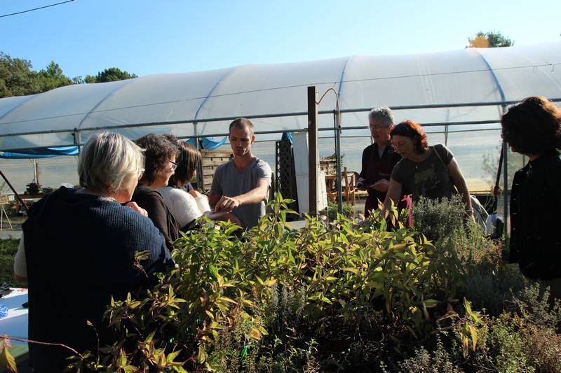 La Serre o délices forment les futurs professionnels de la plante aromatique et médicinale à Biganos en Gironde